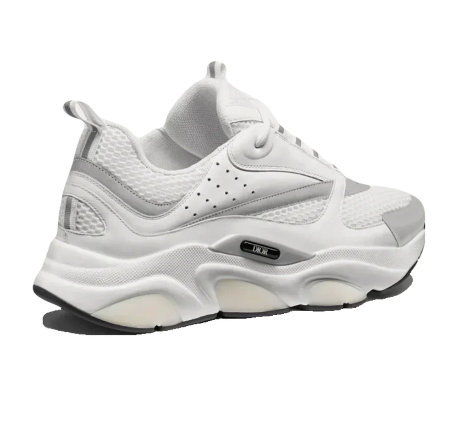 Dior B22 'White Grey'