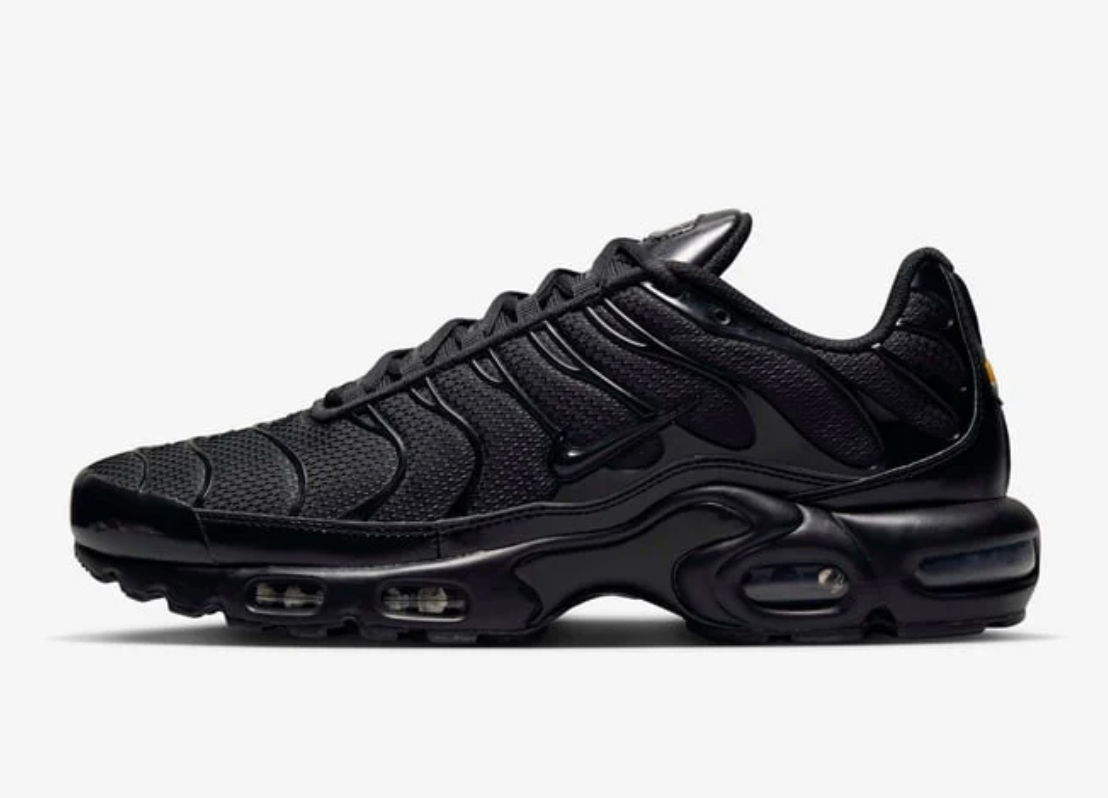 Nike air max plus (black)